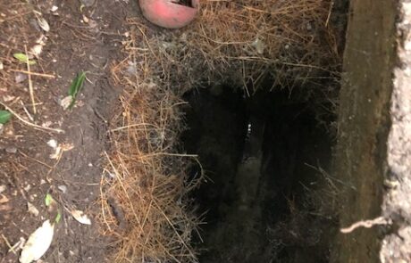 Drain to be worked on by Dynamic Drainage